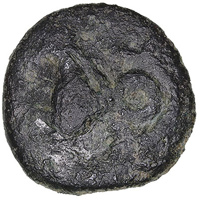 16307