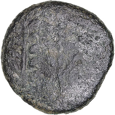 16307