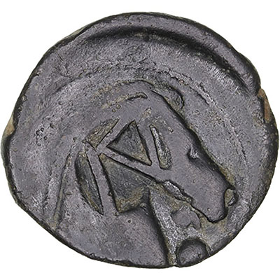 50481