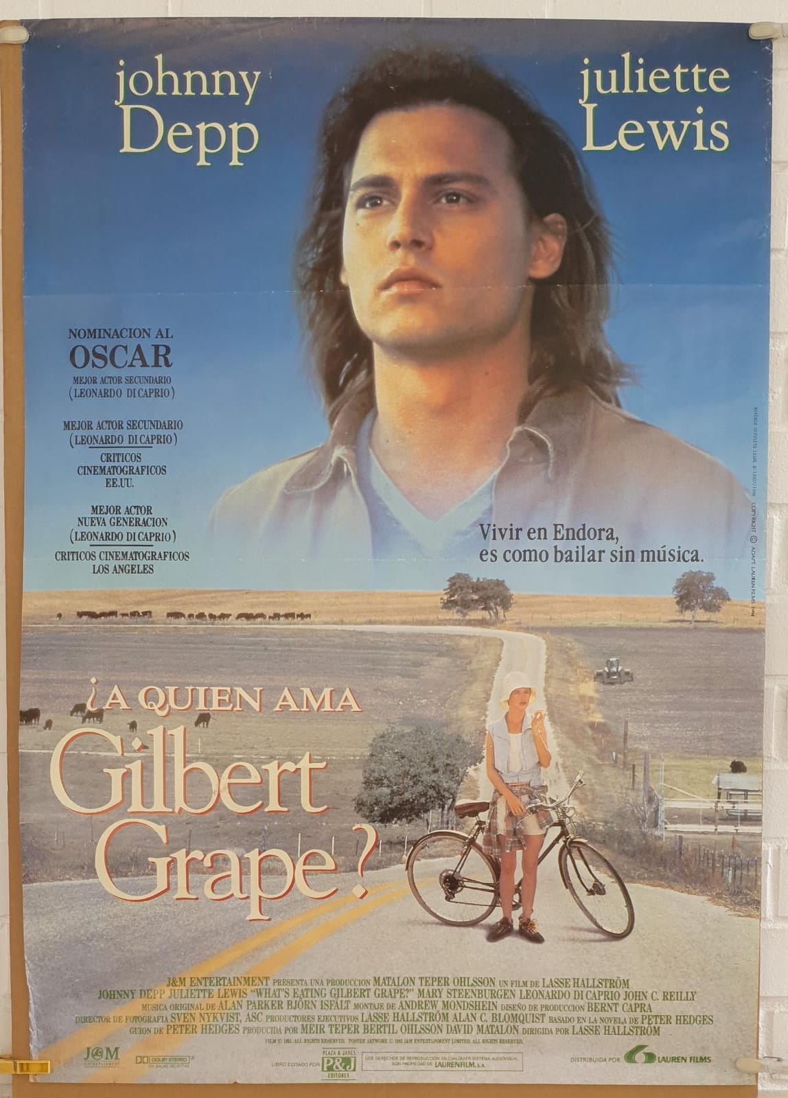 A quién ama Gilbert Grape? Cartel (100x70) Año 1993