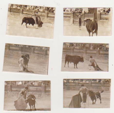 Toros. Lote de fotografías antiguas (4,5x7)