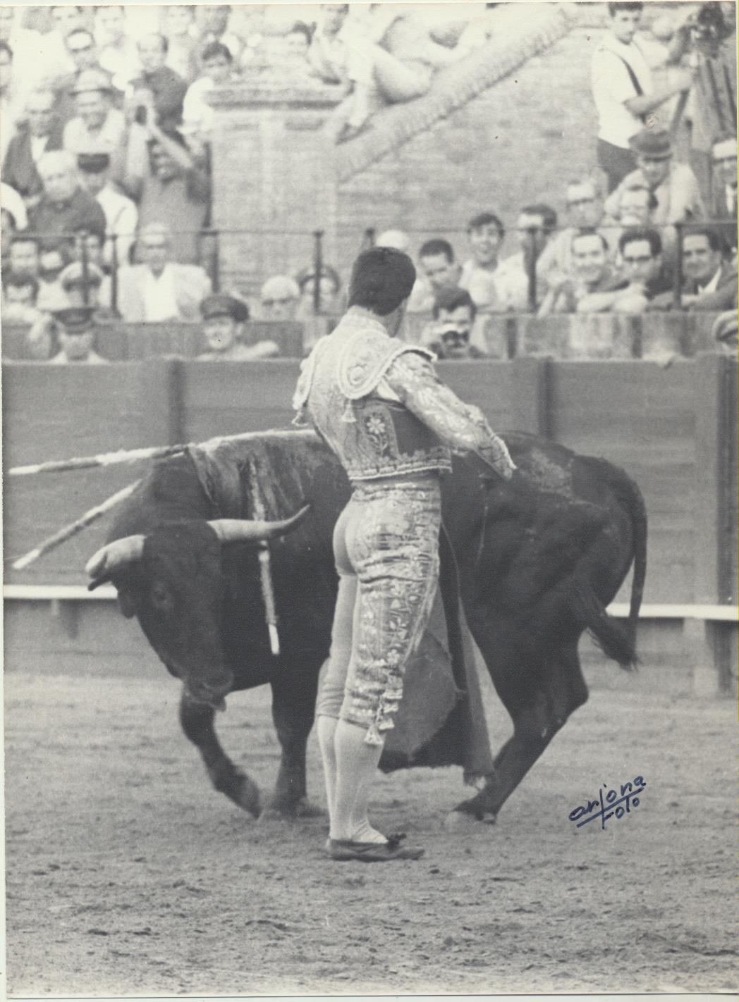 Curro Romero. Fotografía (24x18) Foto Arjona-Sevilla en anverso y también sello en dorso