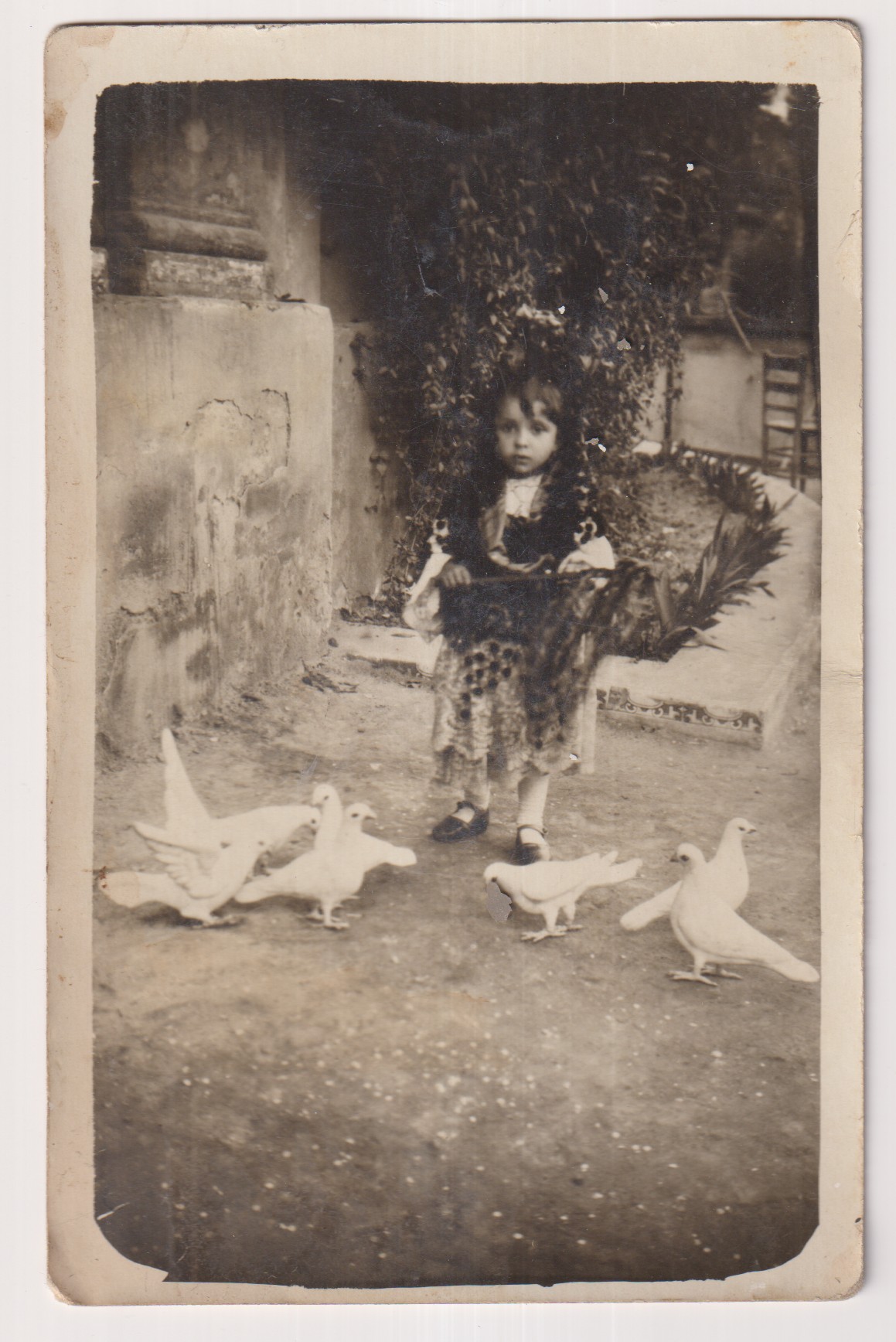 Niña con palomas. Foto Postal. Años 20