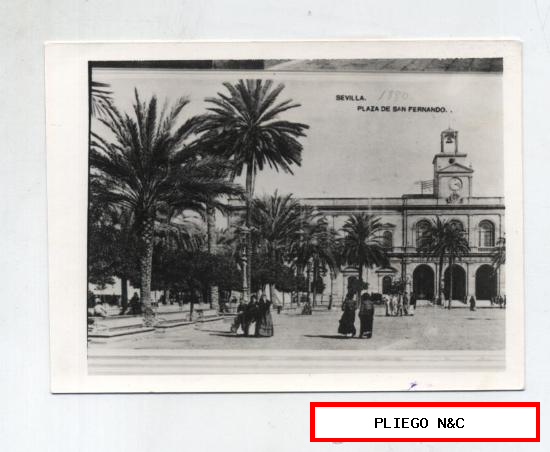 Fotografía (12,5x9) Sevilla. De una postal de la Plaza de San Fernando