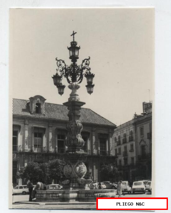 Fotografía (12,5x9) Sevilla. Plaza de la Virgen de los Reyes. Fotógrafo Agudeló-Sevilla. Años 70