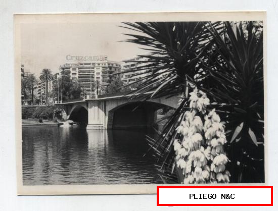 Fotografía (12,5x9) Sevilla. Puente de San Telmo. Fotógrafo Agudeló-Sevilla. Años 70