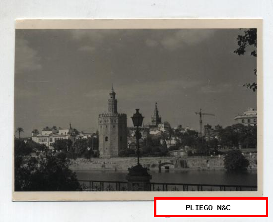 Fotografía (12,5x9) Sevilla. Torre del Oro. Fotógrafo Agudeló-Sevilla. Años 60