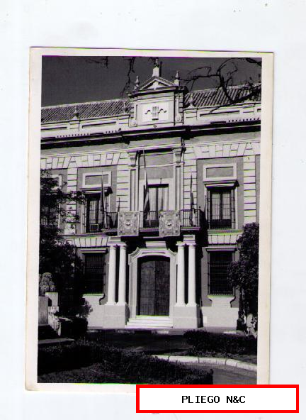 Fotógrafo Agudelo. Diputación. Fotografía 12x9. Años 70. Sevilla