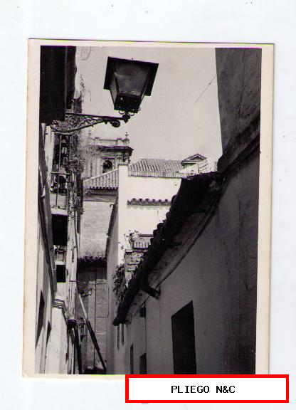 Fotógrafo Agudelo. Barrio de Santa Cruz, Calle Virgen de la Alegría. Fotografía 12x9. Años 60