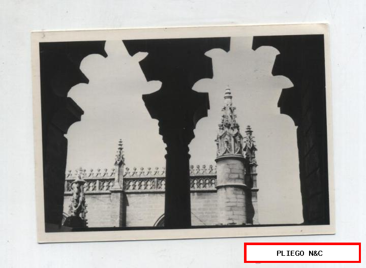 Fotógrafo Agudeló. Catedral de Sevilla desde la Giralda. 12x9. Sevilla años 60