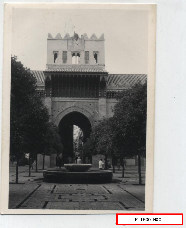 Fotógrafo Agudeló. Catedra. Patio de los Naranjos. 12x9. Sevilla años 60-70