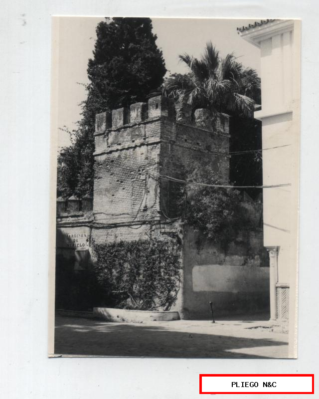 Fotógrafo Agudeló. Torreón del Alcázar. Paseo de los Jardines de Murillo. 12x9. Sevilla años 60-70