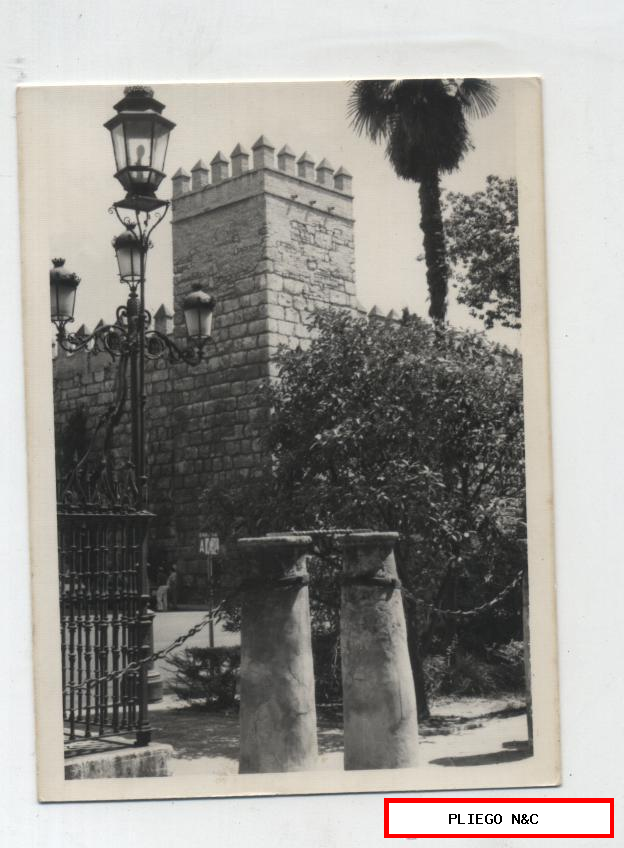 Fotógrafo Agudeló. ´Muralla del Alcázar. 12x9. Sevilla años 60
