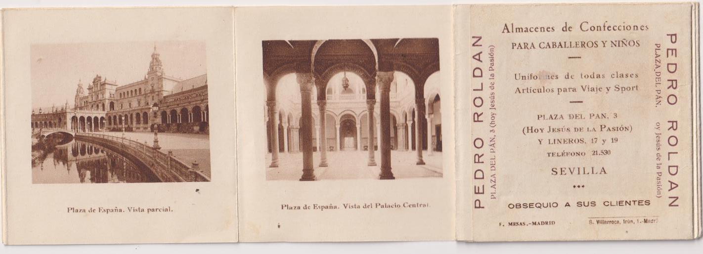 Almacenes Pedro Roldán. 23 Vistas de Sevilla (8x8,5) en acordeón. 1928-29
