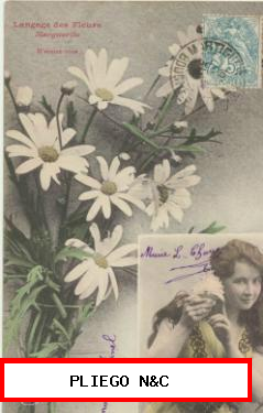 Postal Francesa. Language des Fleurs. Marguerite. Franqueada y fechada en 1904