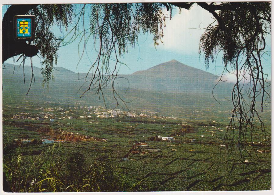 Tenerife. Valla de la Orotava. Pista parcial