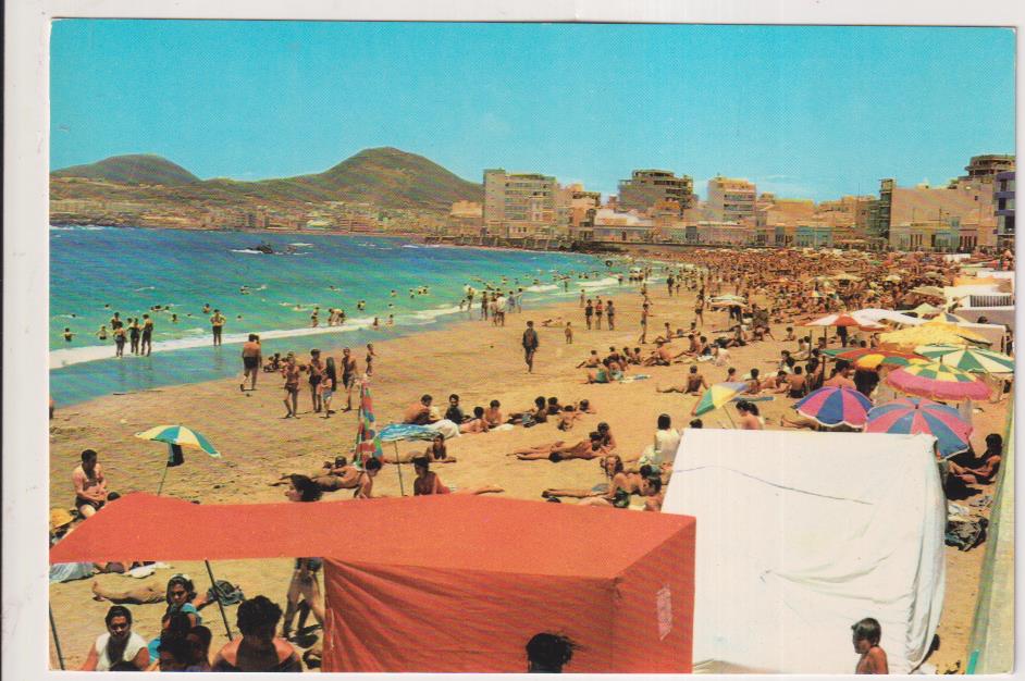 Las Palmas de Gran Canaria. Playa chica Las Canteras