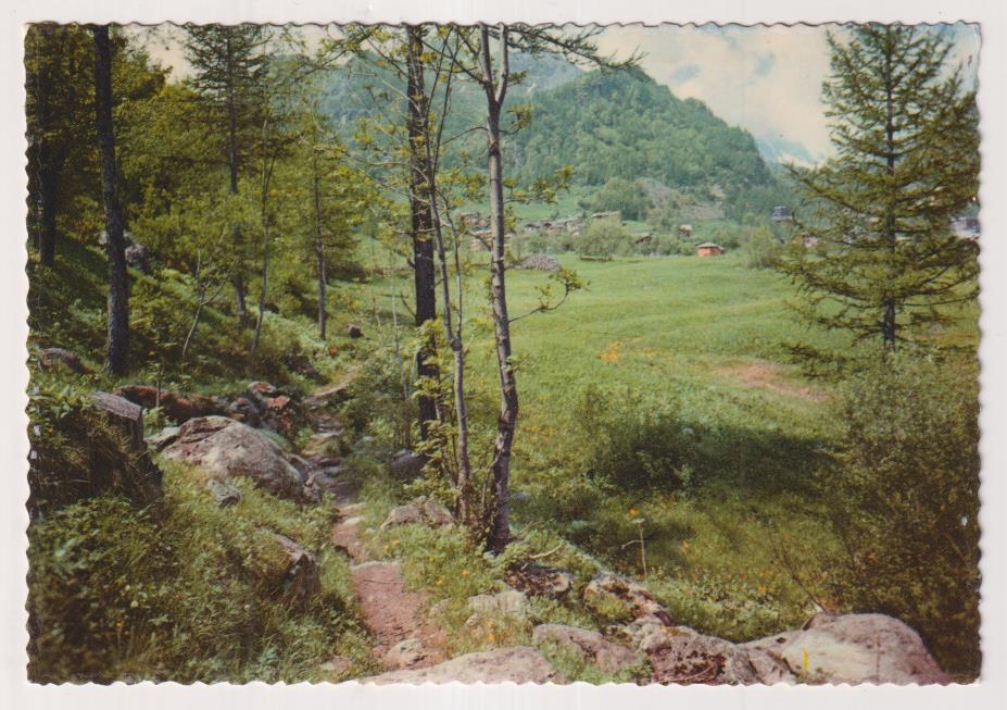 Postal Española.-  Paisaje. Sin usar