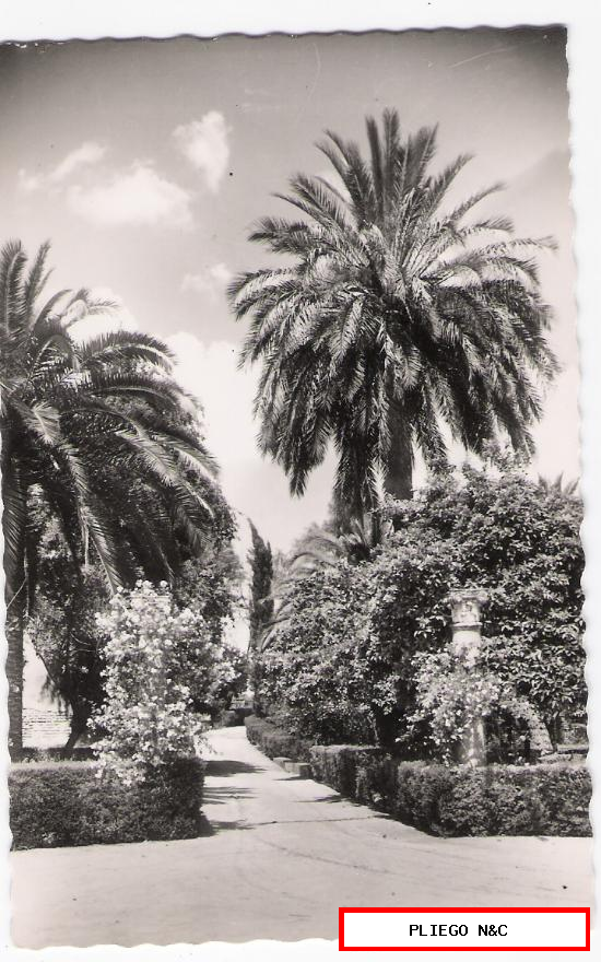 Sevilla. Reales Alcázares-Jardines. G. Garrabella nº 169