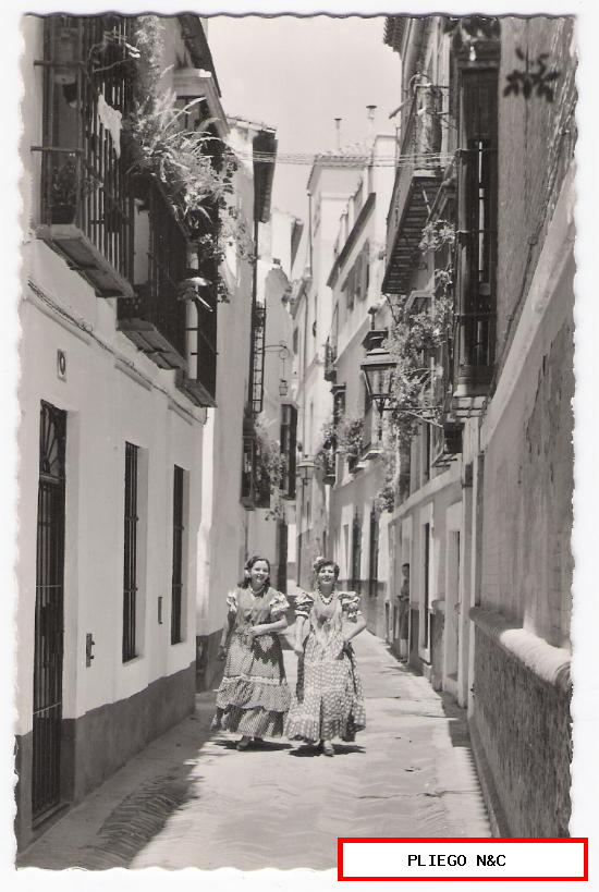 Sevilla. Calle de la Pimienta