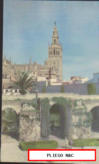 Sevilla. La Giralda desde El Alcázar