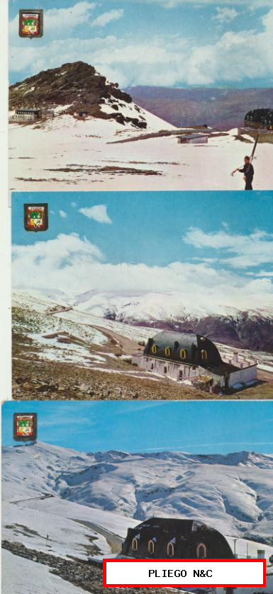 Granada-Sierra nevada. Lote de 3 postales. Año 1966