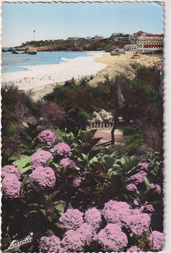 Biarritz.  Les Hortensias. Franqueado y fechado en Biarritz en 1959