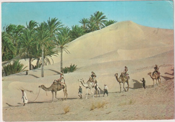 Tunez:- Caravana del Sahara. Franqueado y fechado el 25 Dic. 1982, Destino Barcelona y Bon Nadal i un felic any nouv