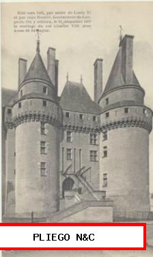 Langeais-L´Entré du Chateau
