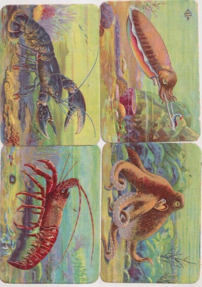 Lote de 4 Cromos (12x8,5 c) Kruger. Alemania. Brillo y relieve