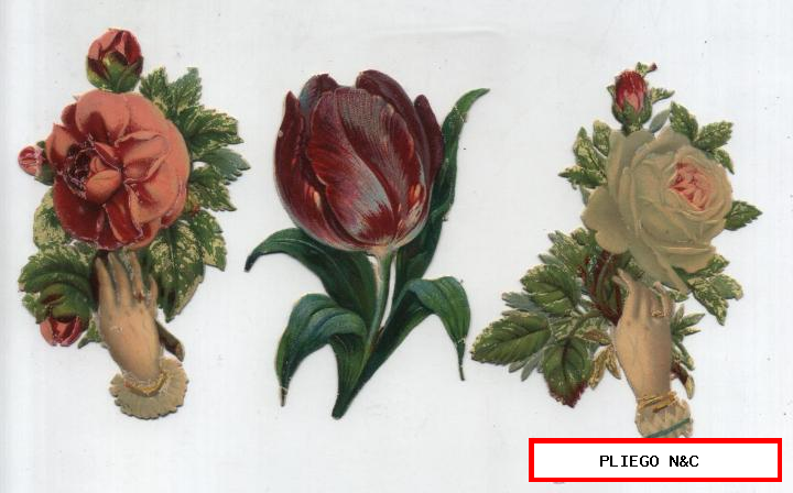 Cromos Troquelados. Lote de 3 tema flores (9,5x6) siglos XIX-XX