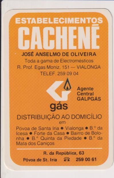 Establecimientos Cachené. (Portugal) Agente Central de Galpgas. Calendario para 1982