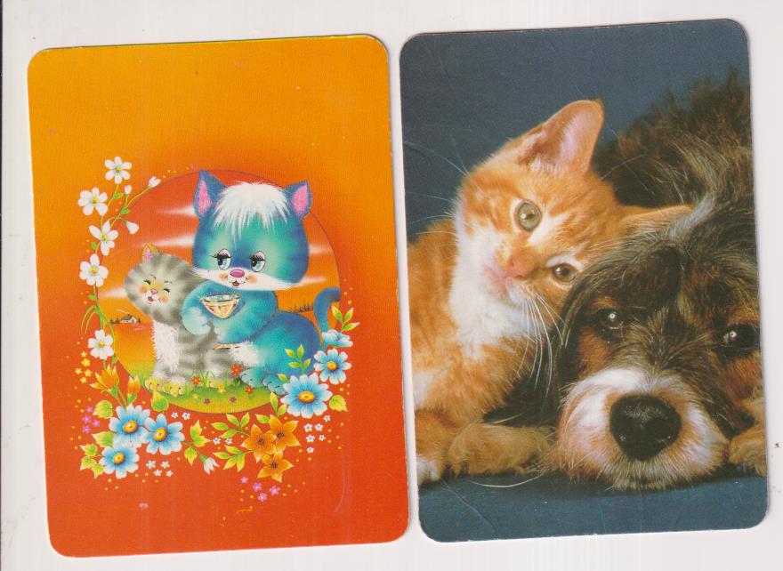 Gatos. Lote de 2 Calendarios para 1994. Cristalería Mabel