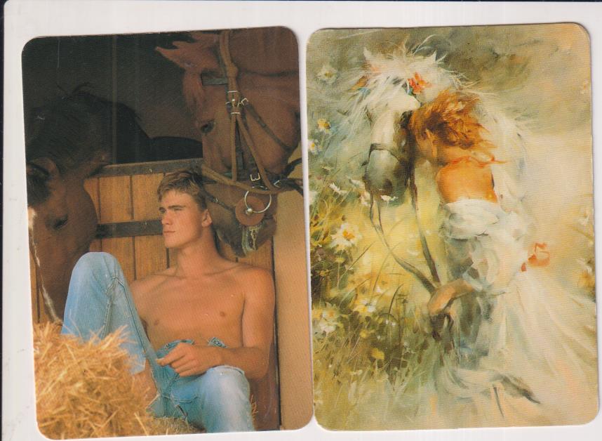 Lote de 2 Calendarios para1995. Publicidad al dorso