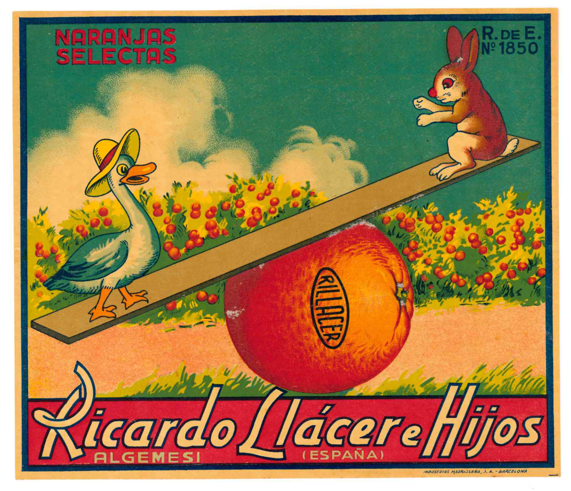 Publicidad (22x19) Naranjas Selectas. Ricardo Llácer e Hijos. Algemesí