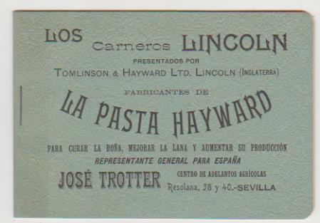 Librito Publicitario de Tomlinson & Hayward Ltd. Lincoln (Inglaterra)