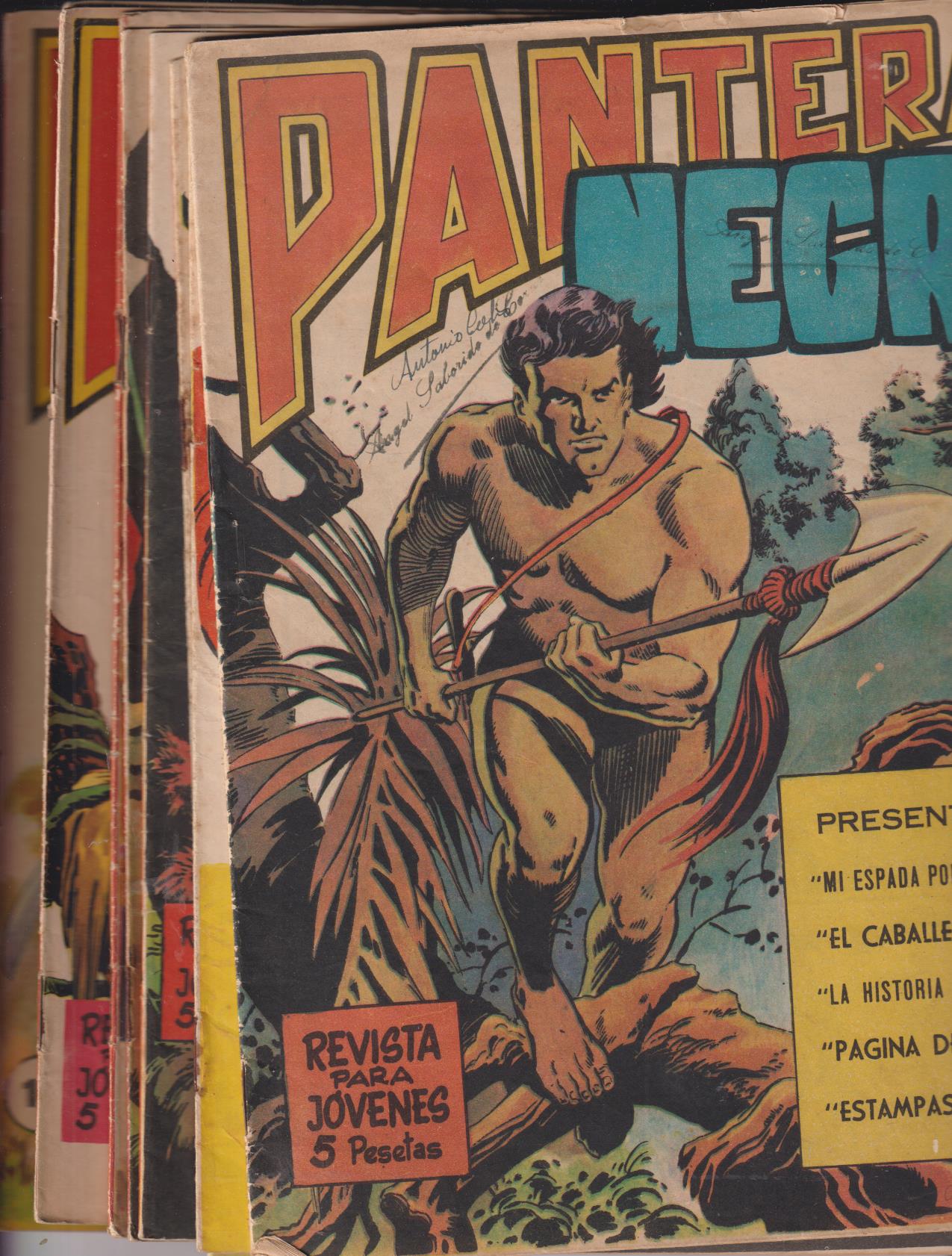 Pantera Negra Revista. Maga 1964. Lote de 40 ejemplares del 1 al 40
